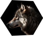 Dibond Hexagon - Zijaanzicht van Kop van Wolf tegen Zwarte Achtergrond - 60x52.2 cm Foto op Hexagon (Met Ophangsysteem)