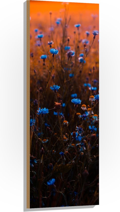 Hout - Landschap - Bloemen - Planten - Blauw - Natuur - 40x120 cm - 9 mm dik - Foto op Hout (Met Ophangsysteem)