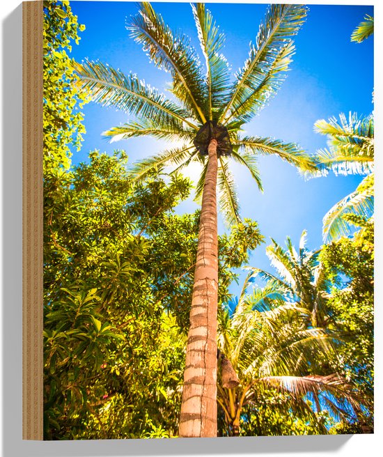 Hout - Palmbomen Beschijnd door Zon - 30x40 cm - 9 mm dik - Foto op Hout (Met Ophangsysteem)