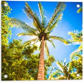 Tuinposter – Palmbomen Beschijnd door Zon - 50x50 cm Foto op Tuinposter (wanddecoratie voor buiten en binnen)