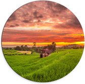 Dibond Muurcirkel - Zonsondergang bij de Thaise Rijstvelden - 70x70 cm Foto op Aluminium Muurcirkel (met ophangsysteem)