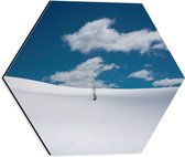 Dibond Hexagon - Landschap - Sneeuw - Boompje - 40x34.8 cm Foto op Hexagon (Met Ophangsysteem)