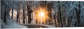 Acrylglas - Pad - Sneeuw - Bomen - Bossen - Zon - Zonsondergang - 150x50 cm Foto op Acrylglas (Met Ophangsysteem)