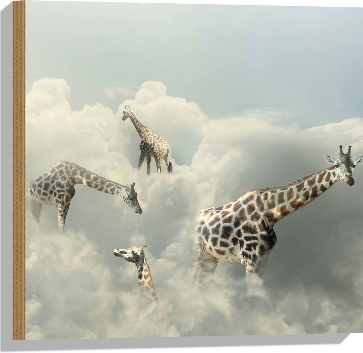 WallClassics - Hout - Giraffen in de Natuur - 40x60 cm - 12 mm dik - Foto op Hout (Met