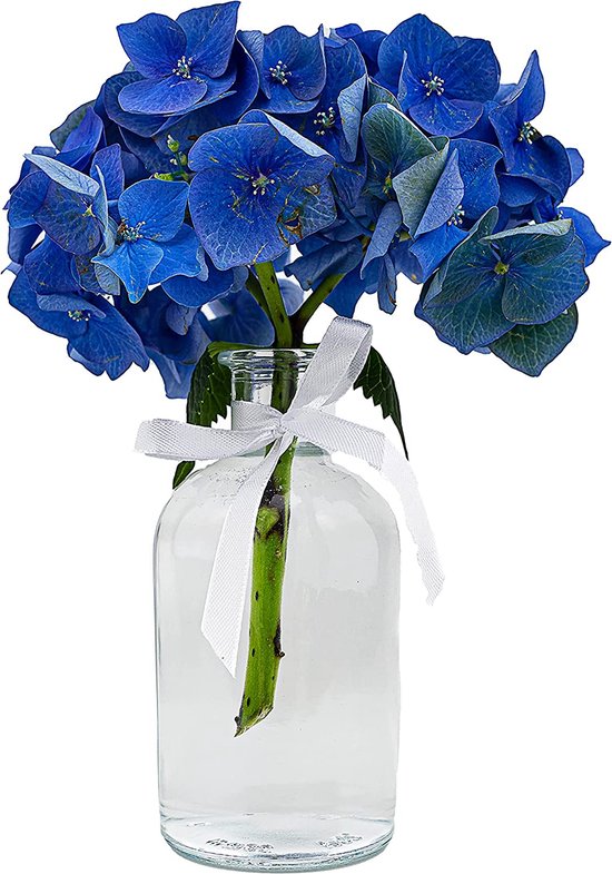 Bouteille décorative, vase de Noël, bougeoir, verre bleu clair