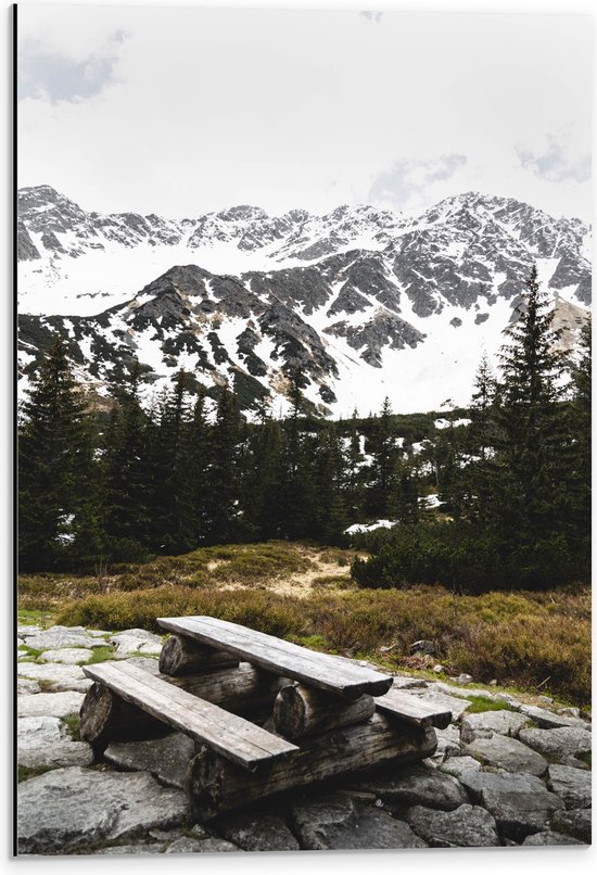 Dibond - Bergen - Sneeuw - Bomen - Gras - Stenen - Bankje - Hout - 40x60 cm Foto op Aluminium (Wanddecoratie van metaal)