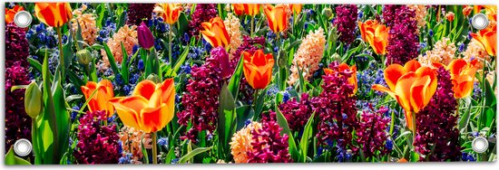 Tuinposter – Veld Vol Wilde Bloemen - 60x20 cm Foto op Tuinposter (wanddecoratie voor buiten en binnen)