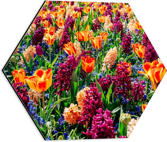 Dibond Hexagon - Veld Vol Wilde Bloemen - 40x34.8 cm Foto op Hexagon (Met Ophangsysteem)