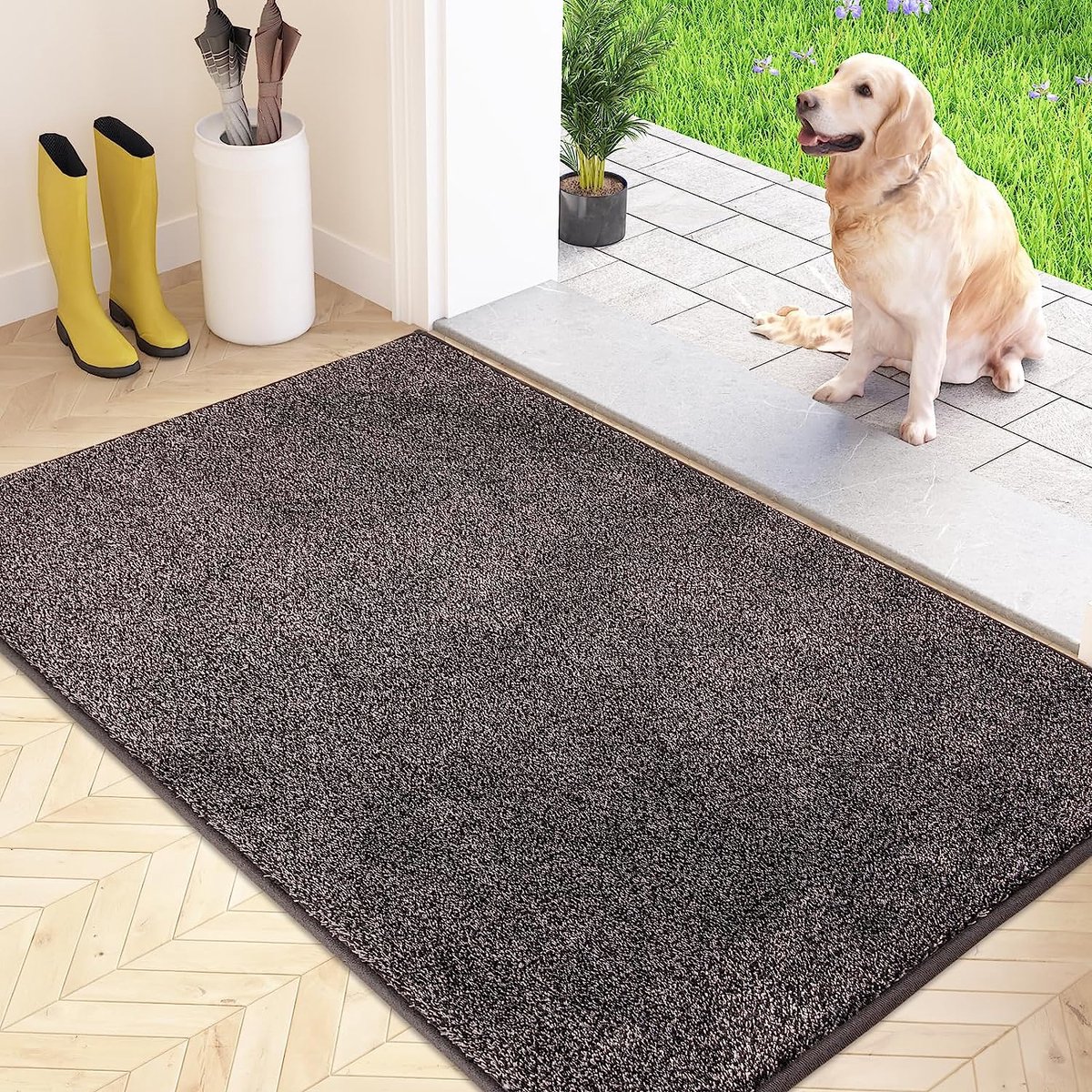 Tapis Paillasson d'intérieur 51 cm × 81 cm, tapis d'entrée antidérapant à  profil bas, paillassons avant absorbants lavables en machine pour porte  arrière, zones à fort trafic, vert - Vert thsinde