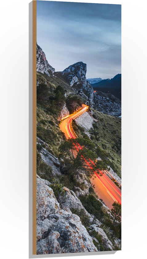 Hout - Bergen - Bomen - Planten - Stenen - Weg - Verlichting - 40x120 cm - 9 mm dik - Foto op Hout (Met Ophangsysteem)