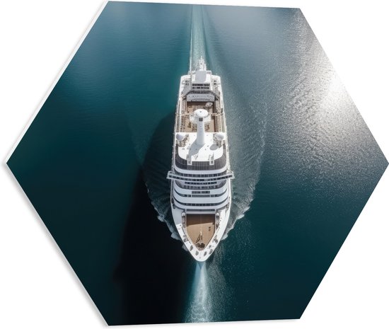 PVC Schuimplaat Hexagon - Bovenaanzicht van Cruiseschip op het Water - 50x43.5 cm Foto op Hexagon (Met Ophangsysteem)