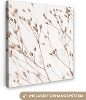 Canvas Schilderij Natuur - Planten - Tak - Wit - Bruin - Droogbloemen - 50x50 cm - Wanddecoratie