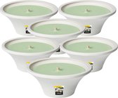 SPAAS Kaarsen - Citronella Tuinkaars in witte terracotta schaal - Buitenkaars - ± 9 branduren - Pistache groen - Asian Garden - 6 stuks - Voordeelverpakking