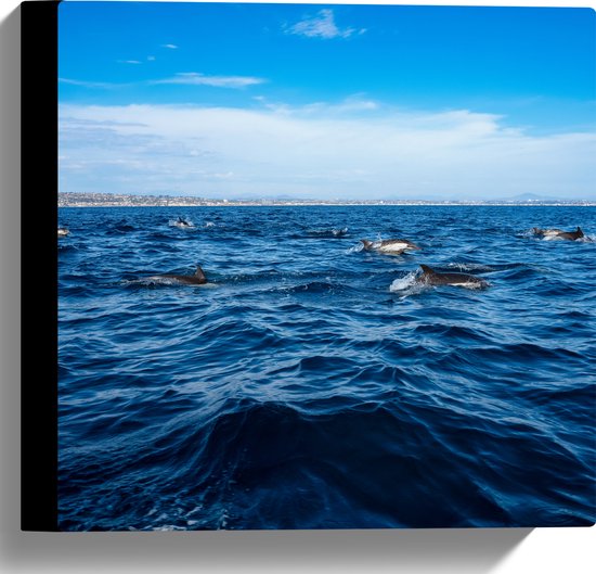 Canvas - Groep Dolfijnen Zwemmend bij het Wateroppervlak - 30x30 cm Foto op Canvas Schilderij (Wanddecoratie op Canvas)