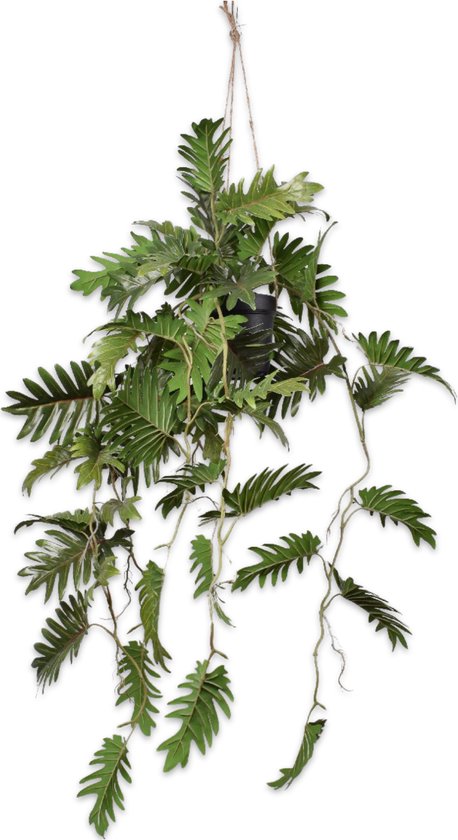 Silk-ka Kunstplant voor Binnen Philodendron Groen 104 cm
