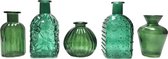 Cactula set van 5 verschillende glazen flesjes in diverse kleuren groen