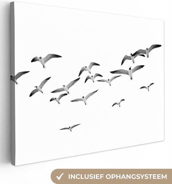 Canvas Schilderij Vogels - Zwart wit - Natuur - Lucht - 40x30 cm - Wanddecoratie