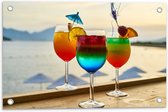 Tuinposter – Kleurrijke Cocktails met Uitzicht op Zee - 60x40 cm Foto op Tuinposter (wanddecoratie voor buiten en binnen)