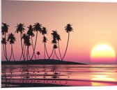 PVC Schuimplaat - Silhouet van Bomen op Eiland bij Ondergaande Zon - 80x60 cm Foto op PVC Schuimplaat (Met Ophangsysteem)