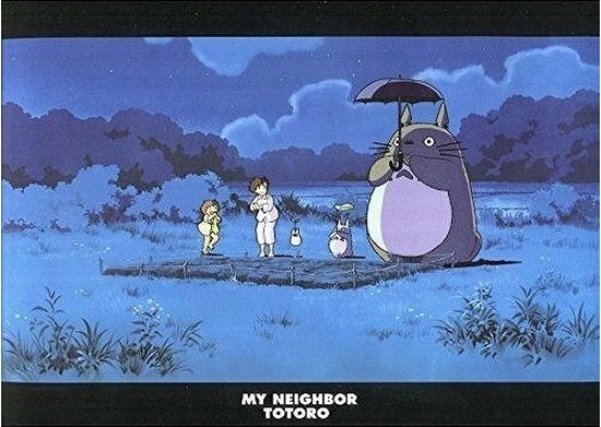 Foto: Ghibli my neighbor totoro nacht a4 mapje