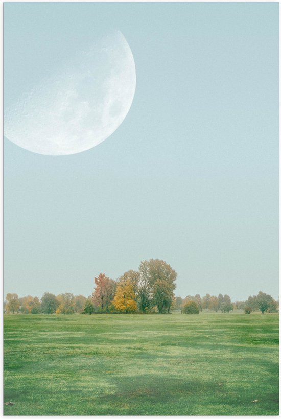 Poster (Mat) - Bomen - Gras - Kleuren - Maan - Landschap - 60x90 cm Foto op Posterpapier met een Matte look
