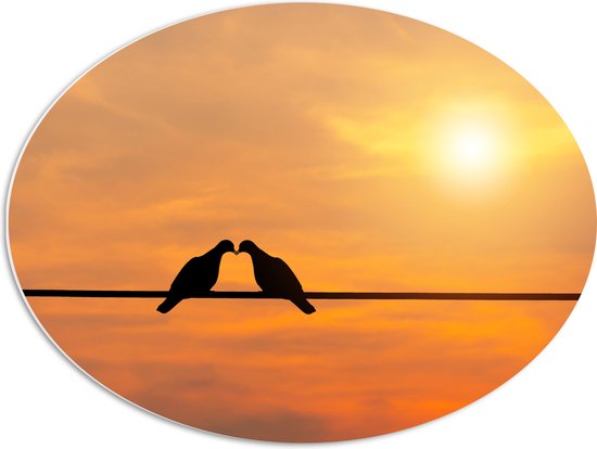 PVC Schuimplaat Ovaal - Silhouet van Liefdevolle Vogels tegen Felle Zon - 68x51 cm Foto op Ovaal (Met Ophangsysteem)