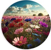 PVC Schuimplaat Muurcirkel - Schapenwolken boven Veld Vol met Bloemen in Verschillende Kleuren - 90x90 cm Foto op Muurcirkel (met ophangsysteem)