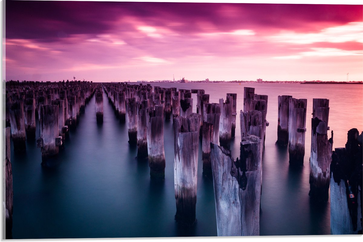 Acrylglas - Palen - Water - Hout - Zee - Kleuren - 60x40 cm Foto op Acrylglas (Met Ophangs