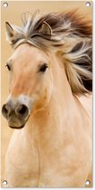 Tuinposter Paarden - Dieren - Manen - Portret - 40x80 cm - Wanddecoratie Buiten - Tuinposter - Tuindoek - Schuttingposter - Tuinschilderij