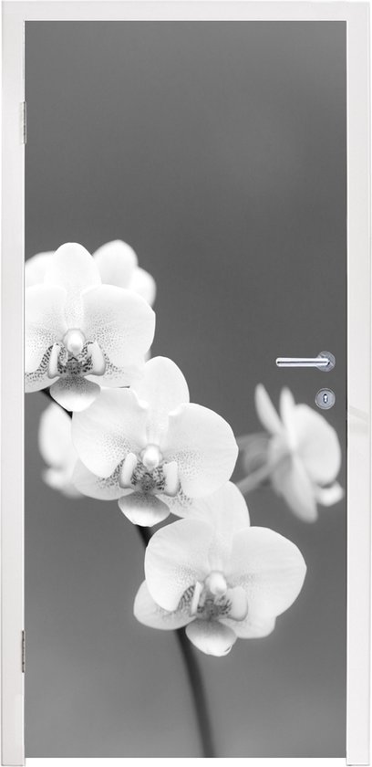Autocollant De Porte Tulup Fleurs Sauvages 75x205 Cm - Déco Murale Moderne, Neuf, Repositionnable