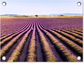 Tuin decoratie Lavendelvelden in het de Provence van Frankrijk - 40x30 cm - Tuindoek - Buitenposter