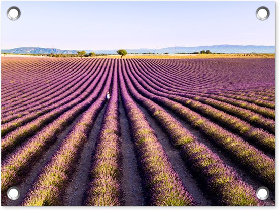 Lavendelvelden in het de Provence van Frankrijk - Tuindoek