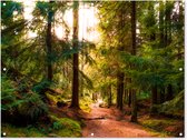 Tuinposter - Tuindoek - Tuinposters buiten - Bos - Pad - Bomen - Groen - Zon - Natuur - 120x90 cm - Tuin