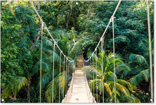 Tuinposter - Tuindoek - Tuinposters buiten - Jungle - Palmboom - Brug - Natuur - Planten - 120x80 cm - Tuin