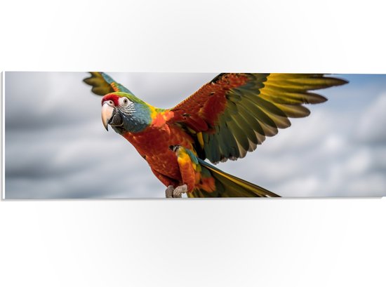 PVC Schuimplaat - Ara papegaai vliegt rond over bomen heen - 60x20 cm Foto op PVC Schuimplaat (Met Ophangsysteem)