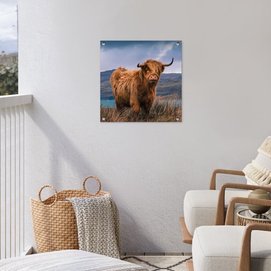 Posters de Posters de jardin Scottish Highlander - Berg - Water - 50x50 cm