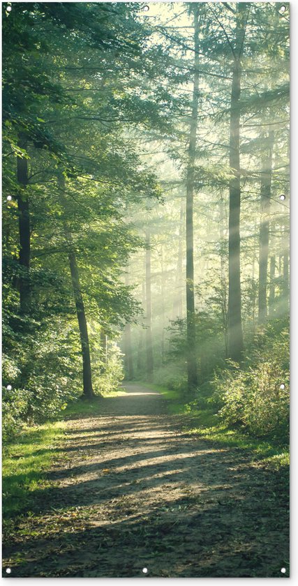 Schuttingposter Bos - Pad - Zon - Bomen - Groen - Natuur - 100x200 cm - Tuindoek