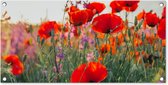 Tuinschilderij - Bloemen - Klaproos - Rood - Tuin - 80x40 cm - Schuttingdoek - Tuinposter - Tuindecoratie - Tuindoek - Buitenposter