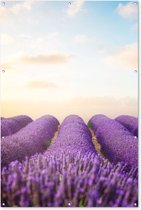 Tableau jardin - Jardin - Lavande - Ciel - Nuages - 120x180 cm - Tableau jardin - Toile jardin - Affiche extérieure