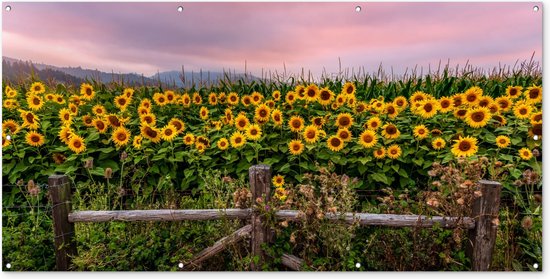 Affiche jardin - Fleurs - Plantes - Tournesol - Ciel - Toile jardin - Affiche clôture - 200x100 cm - Jardin