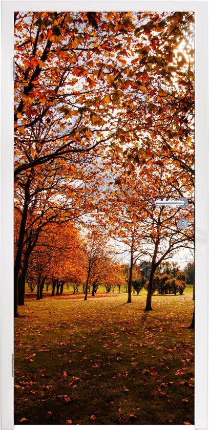 Deursticker Herfst - Herfstbladeren - Natuur - 95x235 cm - Deurposter