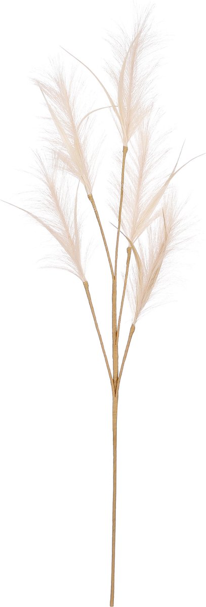 House of Seasons pluimgras losse steel/tak - meerdere stengels - creme wit - 98 cm - Decoratie kunst bloemen