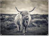 Affiche jardin - Toile jardin - Posters de jardin extérieur - Highlander écossais - Animaux - Nuages - Vache - Nature - 120x90 cm - Jardin
