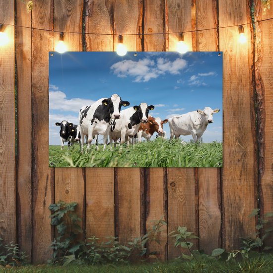 Affiche jardin - Toile jardin - Affiches jardin extérieur - Vaches - Campagne - Pâturage - Nature - Animaux - Posters de jardin cm - Jardin