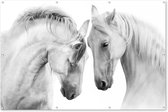 Muurdecoratie Paard - Dieren - Portret - Wit - 180x120 cm - Tuinposter - Tuindoek - Buitenposter