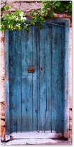 Schuttingposter Vintage - Deur - Huis - Blauw - Boom - 100x200 cm - Tuindoek
