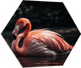 PVC Schuimplaat Hexagon - Flamingo drijft over het water heen - 70x60.9 cm Foto op Hexagon (Met Ophangsysteem)