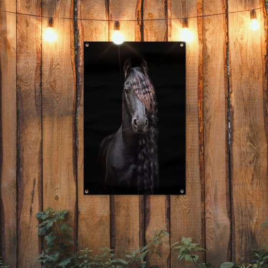 Portrait d'un cheval frison sur fond noir affiche de jardin toile en vrac 60x90 cm - Toile de jardin / Toile d'extérieur / Peintures d'extérieur (décoration de jardin)