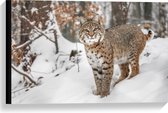 Canvas - Rode lynx staat in een bos in de sneeuw - 60x40 cm Foto op Canvas Schilderij (Wanddecoratie op Canvas)