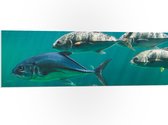 PVC Schuimplaat- Groep vissen zwemmen door de zee heen - 120x40 cm Foto op PVC Schuimplaat